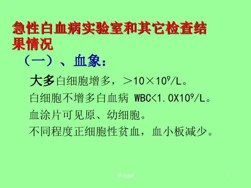 急性白血病实验室和其它检查结果情况