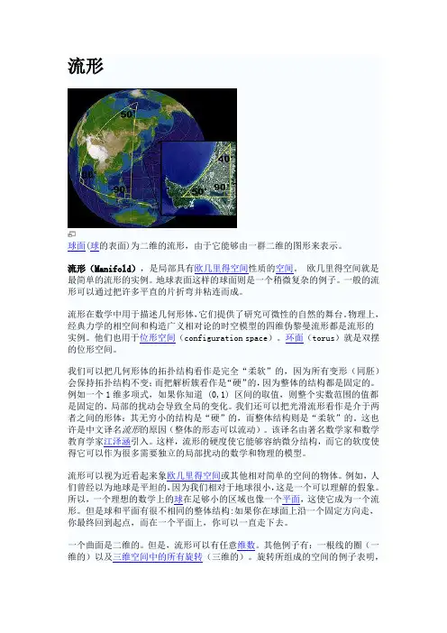 流形(Manifold)