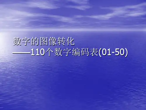 110个数字编码表和图片