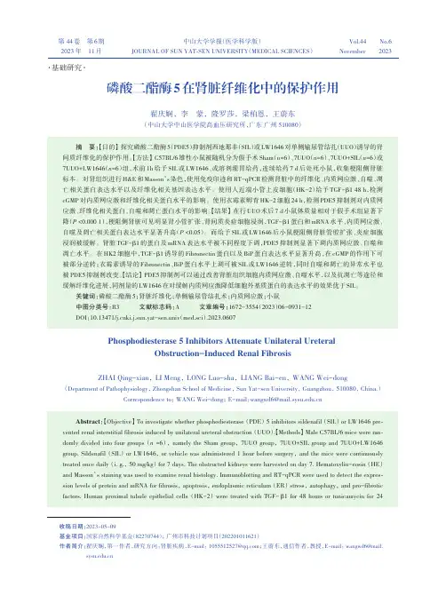 磷酸二酯酶5_在肾脏纤维化中的保护作用