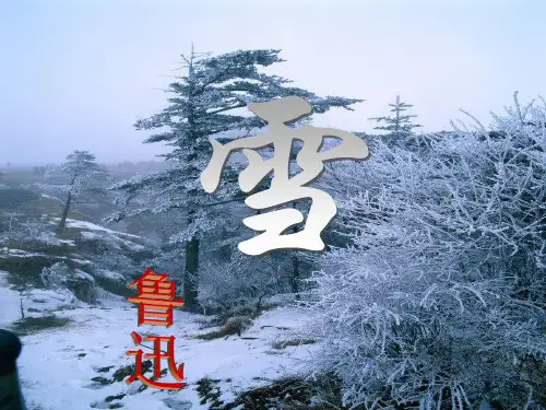 鲁迅_雪_八上_语文_课件_PPT
