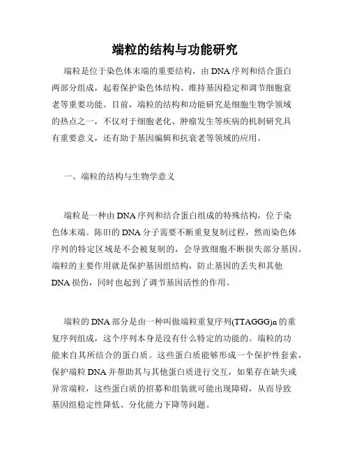 端粒的结构与功能研究