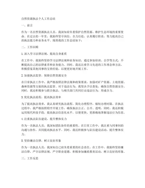 规划自然资源执法个人工作总结