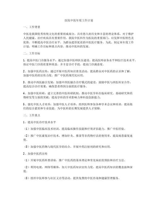 医院中医年度工作计划