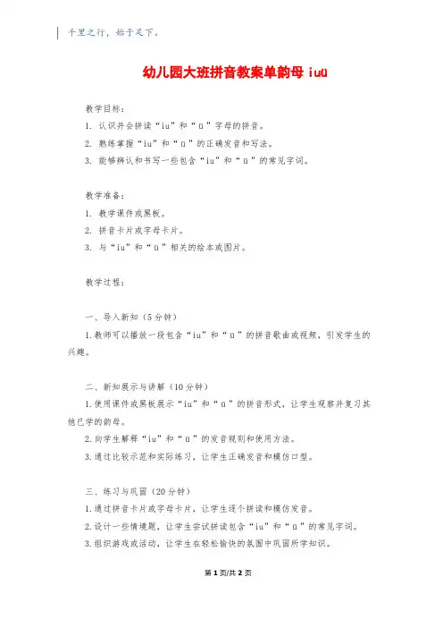 幼儿园大班拼音教案单韵母iuü