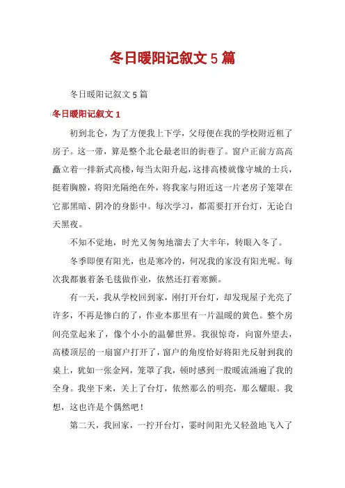 冬日暖阳记叙文5篇