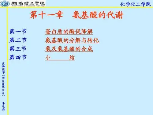 生物化学第十一章氨基酸的代谢
