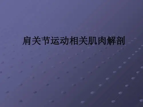 肩关节运动相关肌肉解剖ppt课件