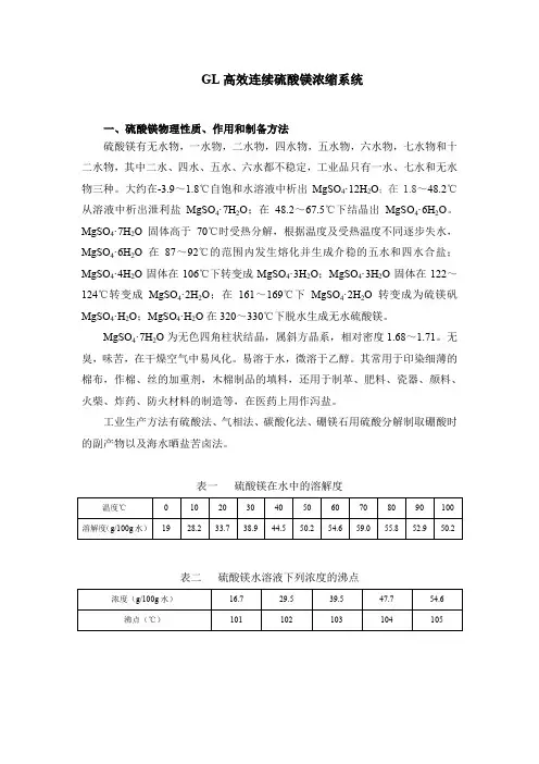 GL高效连续硫酸镁浓缩系统