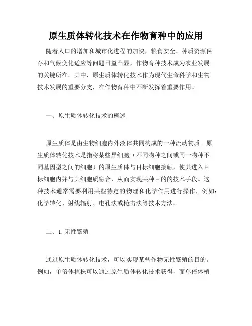 原生质体转化技术在作物育种中的应用