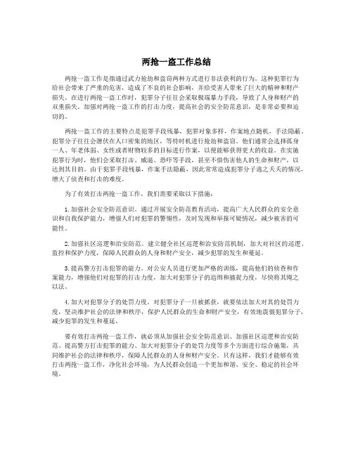 两抢一盗工作总结