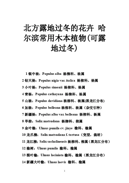 北方露地过冬的花卉哈尔滨常用木本植物（可露地过冬）