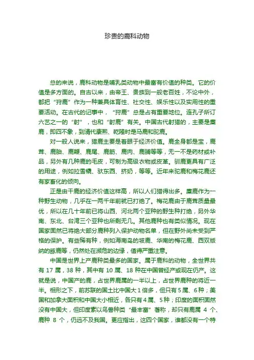 珍贵的鹿科动物