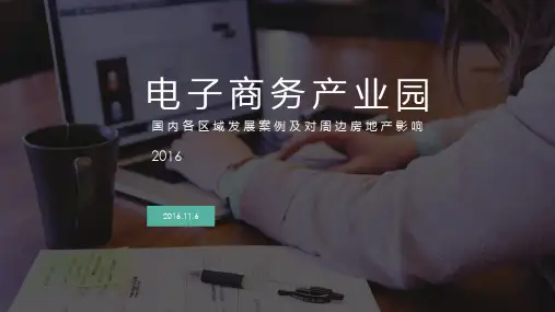 全国电商产业园现状(ppt文档)