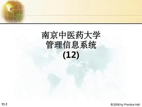 南京中医药大学管理信息系统 (12)ppt课件