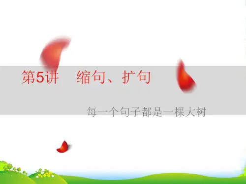 小学语文缩句和扩句-课件