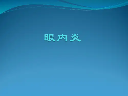 眼内炎ppt课件