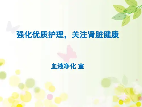 血液净化室优质护理汇报 PPT