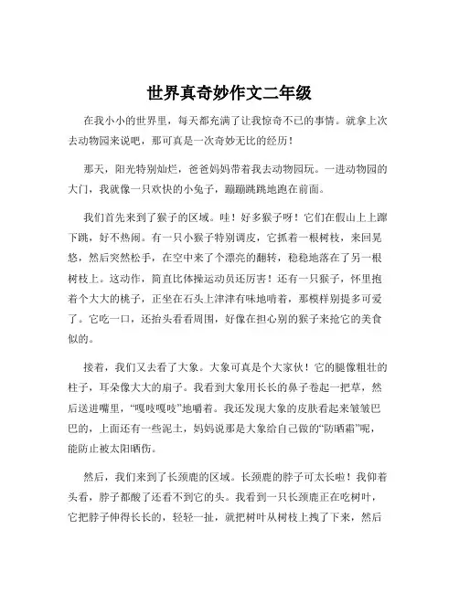 世界真奇妙作文二年级