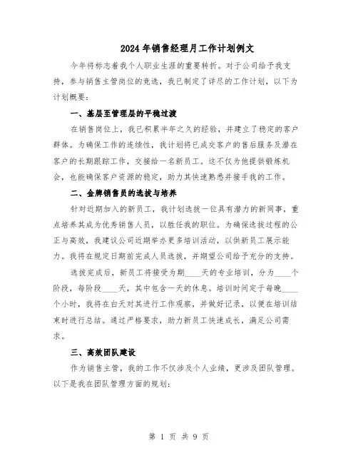2024年销售经理月工作计划例文(4篇)