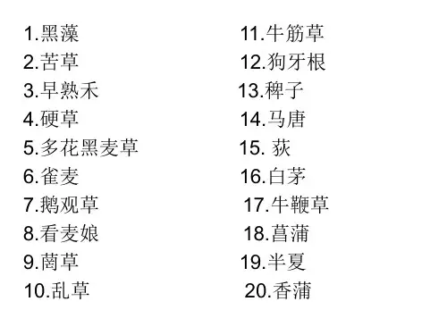 常见野草100种(5)