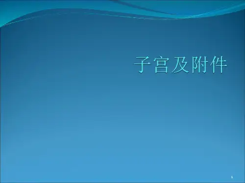子宫及附件ppt课件