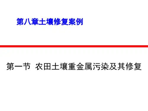 第八章土壤污染修复案例