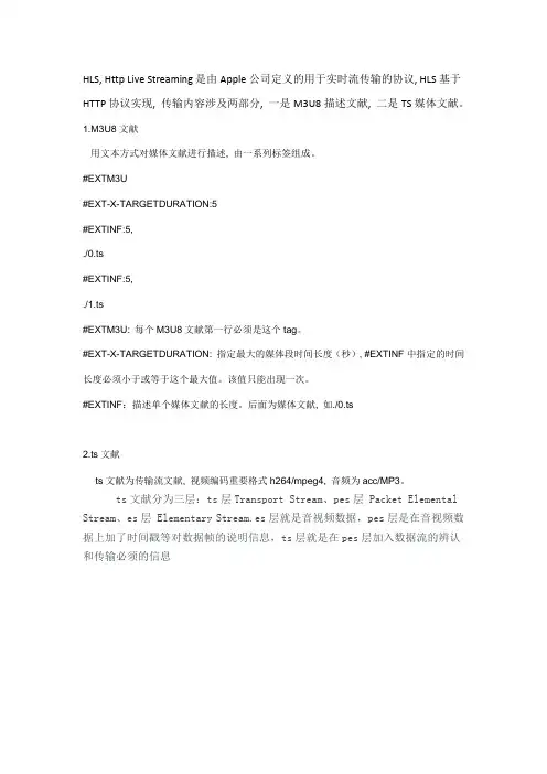 ts流解析规则专业资料