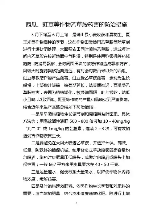 西瓜、豇豆等作物乙草胺药害的防治措施