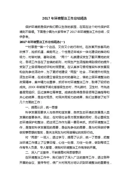 2017年环境整治工作总结精选