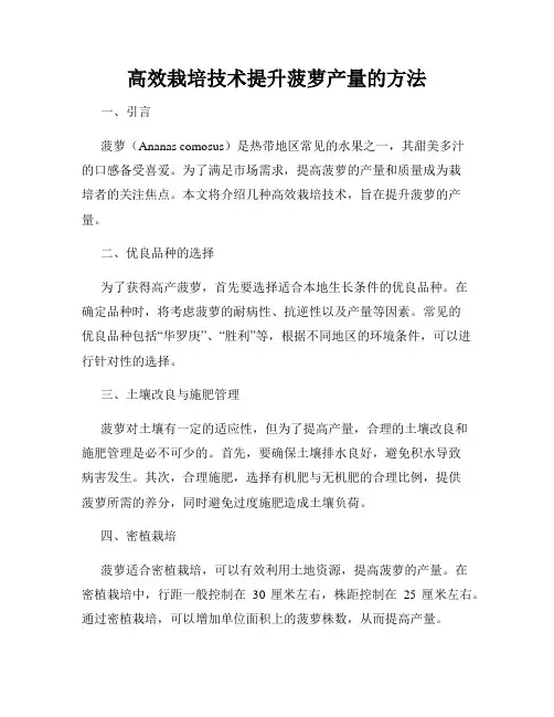 高效栽培技术提升菠萝产量的方法