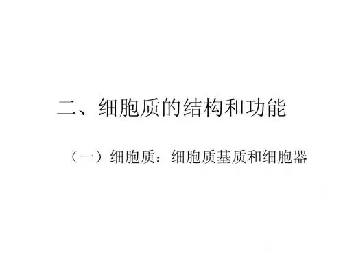二、细胞质的结构和功能