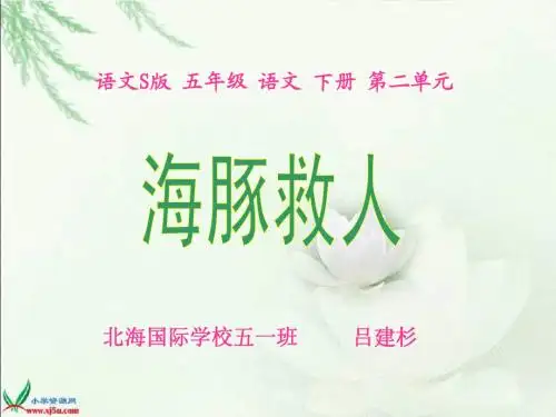 五年级下册《海豚救人》PPT(语文S版)