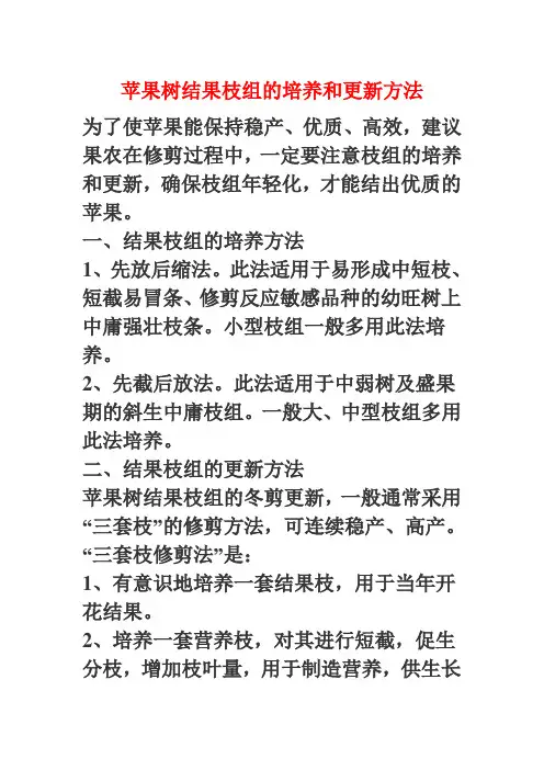 苹果树结果枝组的培养和更新方法