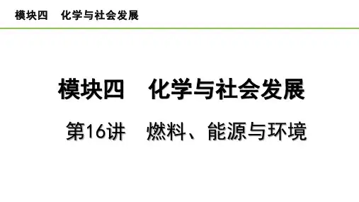 2023中考化学一轮复习考点梳理  - 燃料、能源与环境