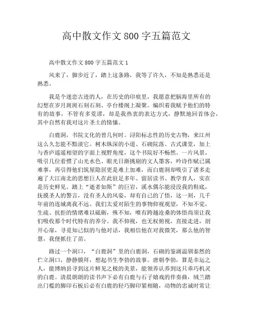 高中散文作文800字五篇范文
