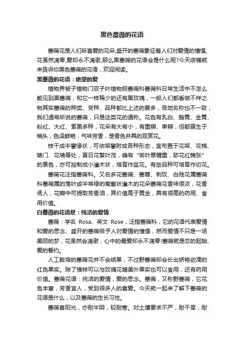 黑色蔷薇的花语