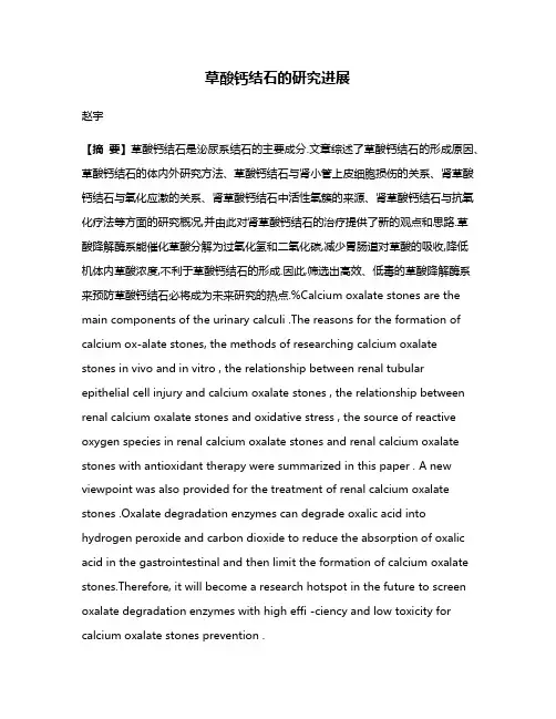 草酸钙结石的研究进展