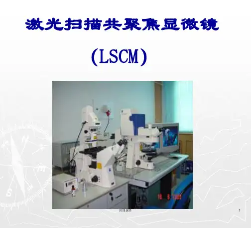 激光扫描共聚焦显微镜研究生1管理材料