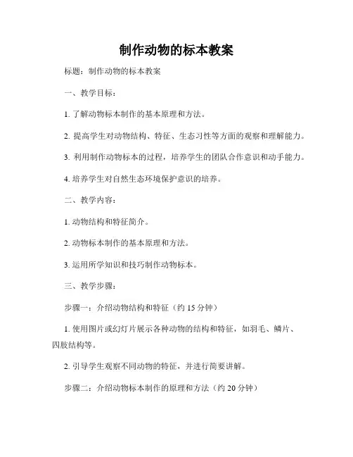 制作动物的标本教案