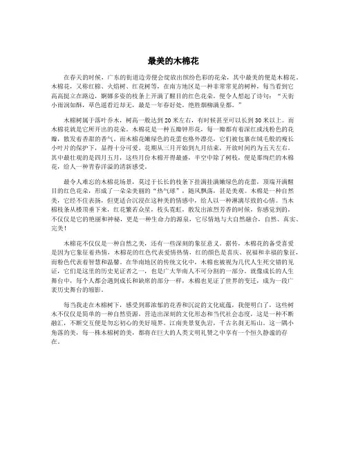 最美的木棉花