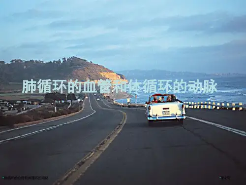 肺循环的血管和体循环的动脉