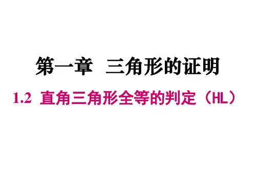 直角三角形全等的判定(HL)课件2021-2022学年北师大版八年级数学下册