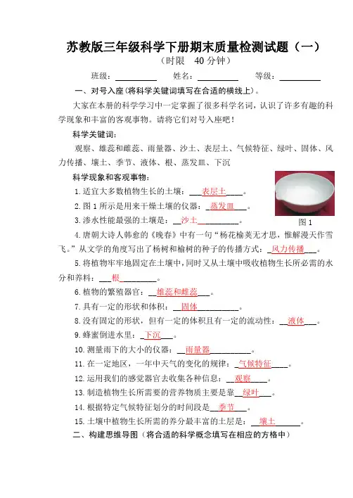 苏教版三年级下册科学期末试卷及答案(三套)