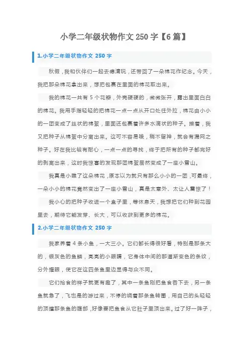 小学二年级状物作文