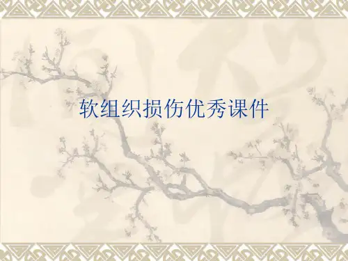 软组织损伤优秀课件