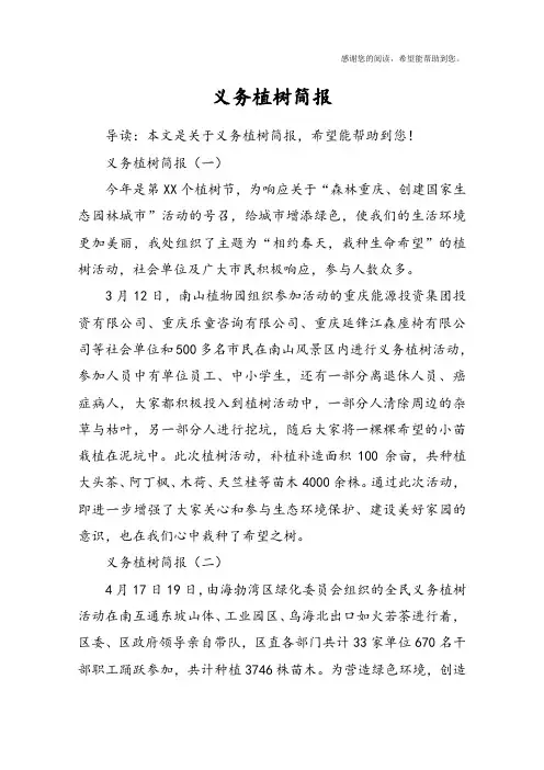 义务植树简报