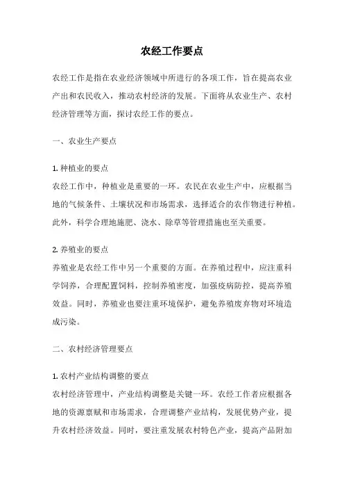 农经工作要点