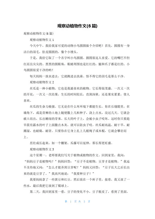 观察动植物作文(6篇)