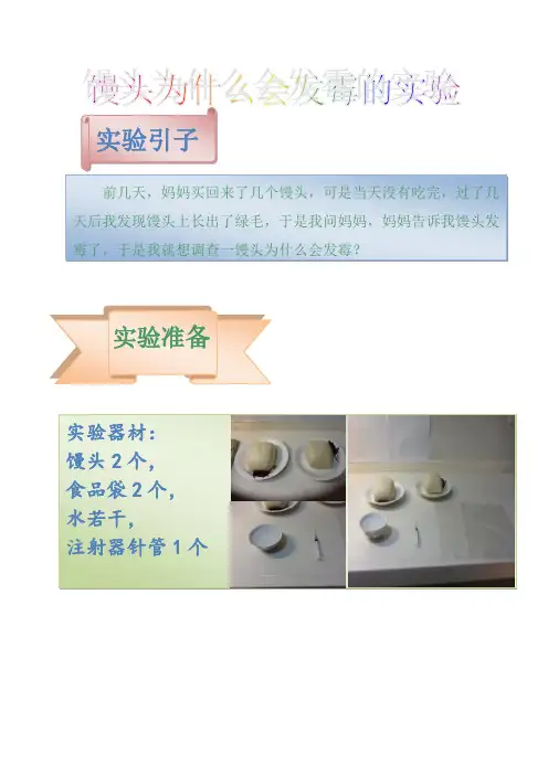 科学比赛论文(馒头发霉实验)